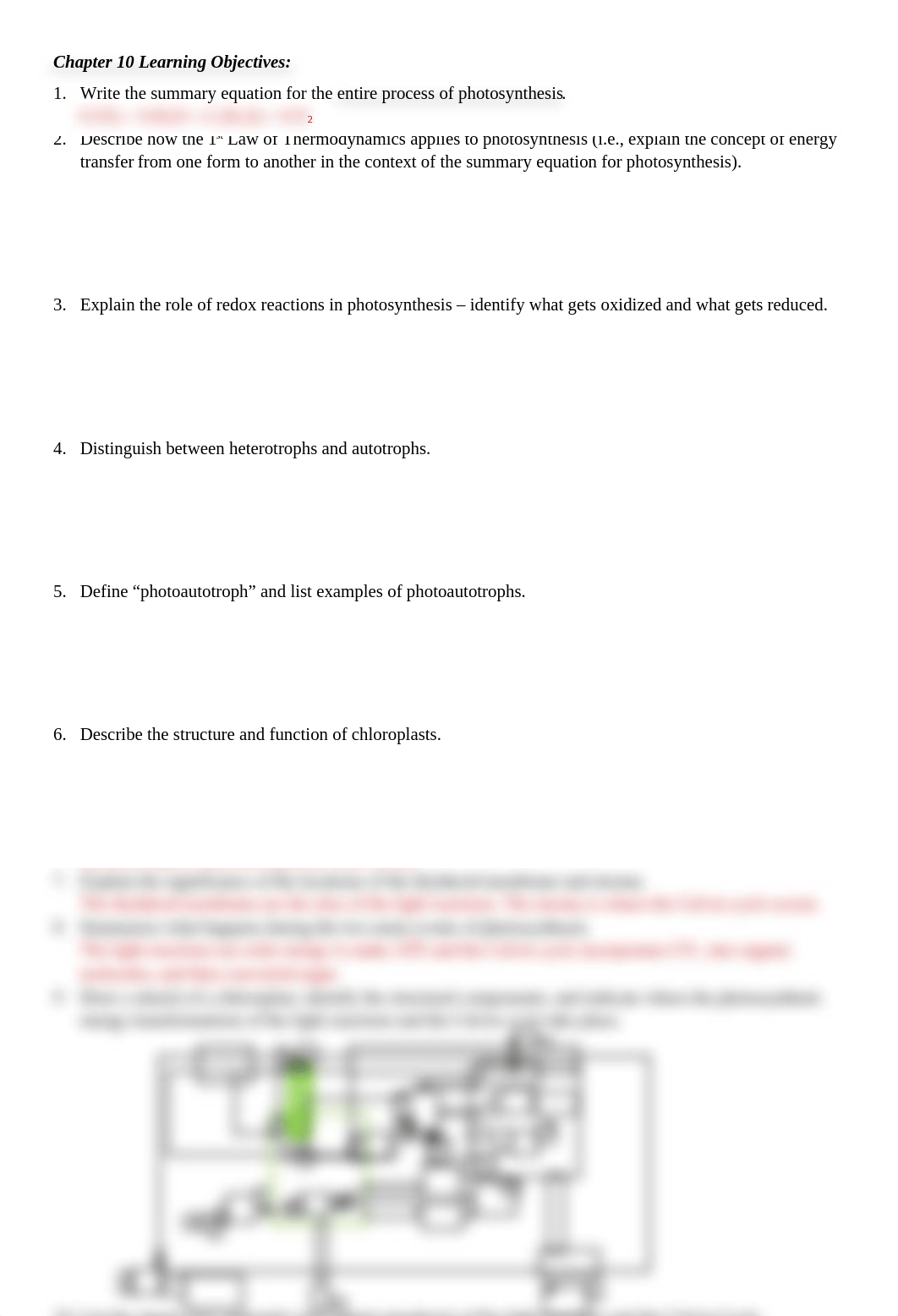 Chapter 10 Learning Objectives.doc_drshxxc3ho0_page1