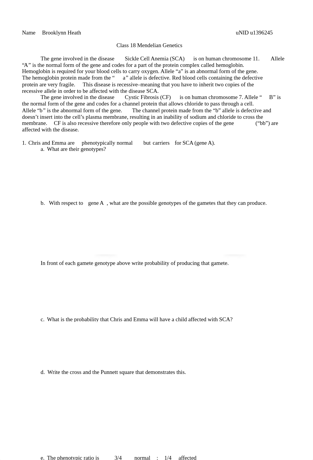 Worksheet 18 Mendelian Genetics F'22.doc_drsr28x0wi9_page1