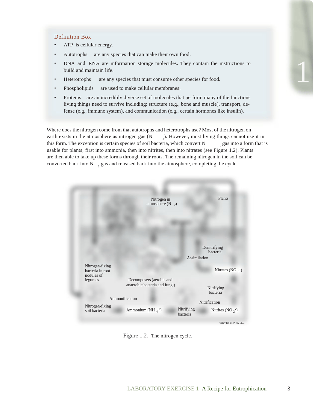 Lab 1 pdf copy.pdf_drsw2gp6o8j_page3