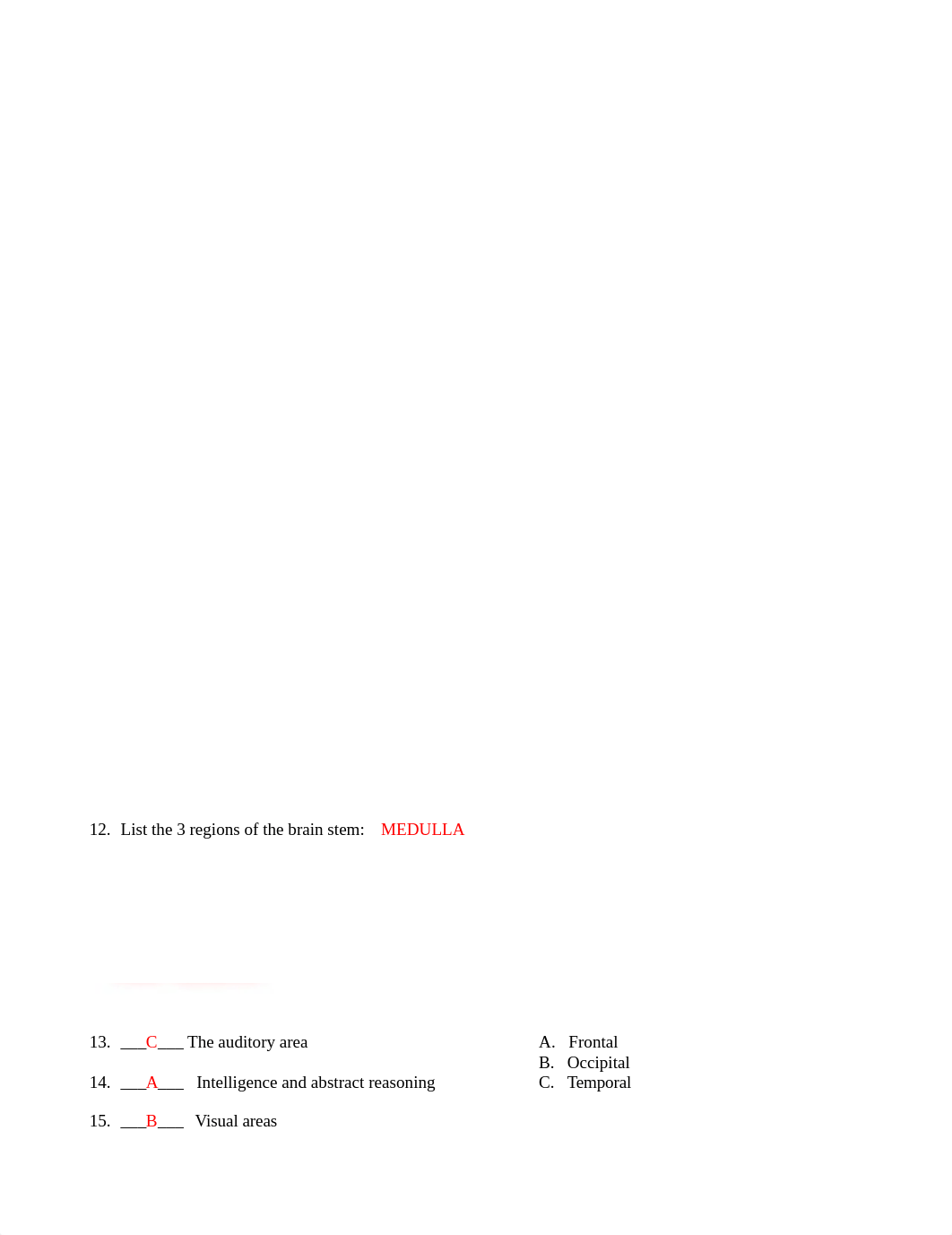 Nervous System Worksheet.docx_drt24tzxf3p_page1