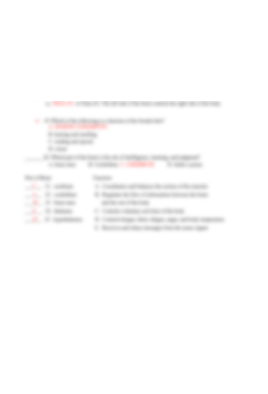 Nervous System Worksheet.docx_drt24tzxf3p_page2