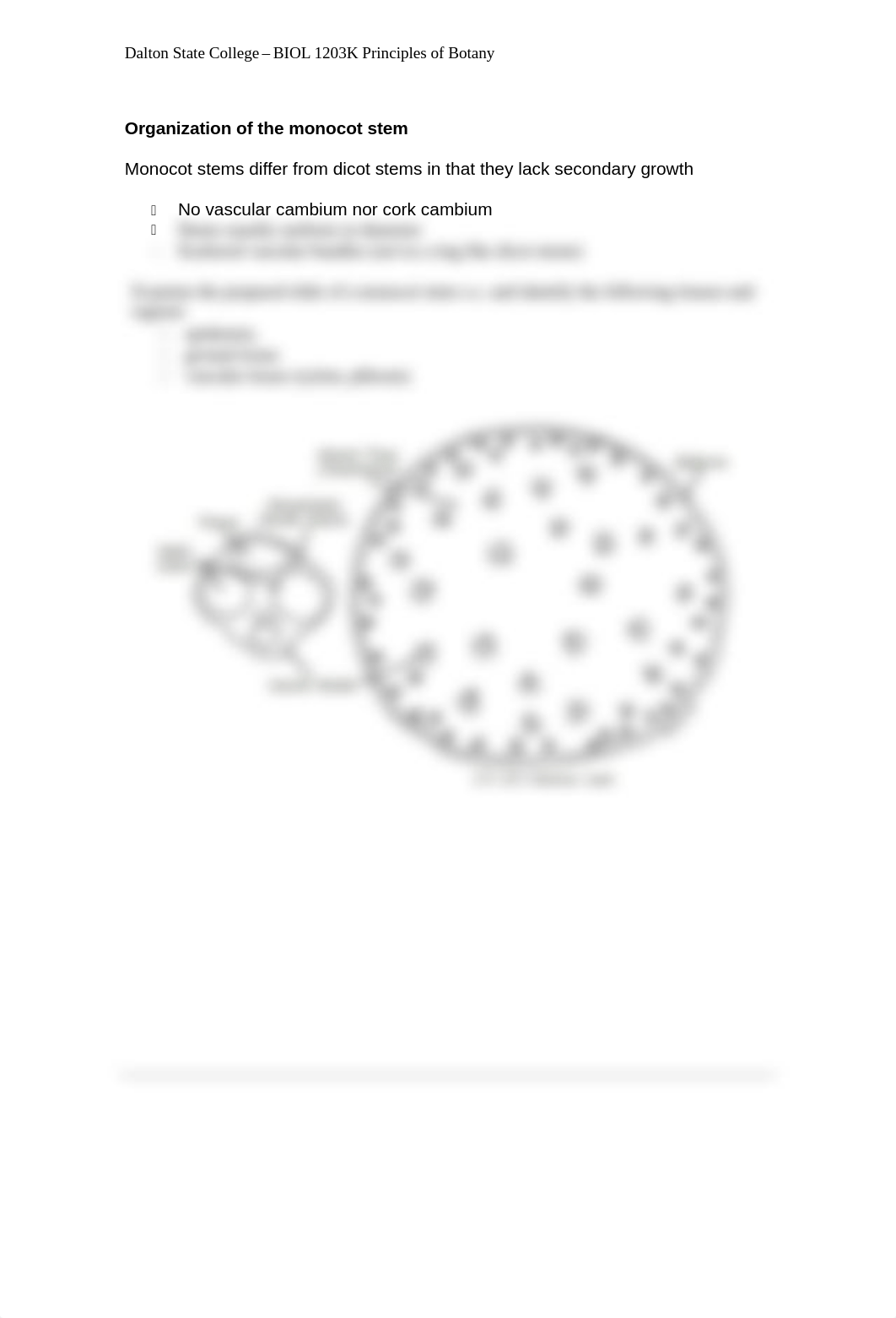 Principle of Botany_Lab-4 Anatomy of the stem.pdf_drt2cs43boq_page2