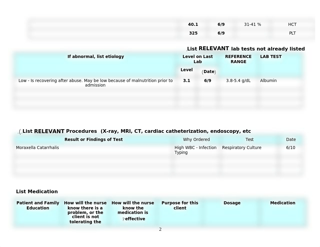 Clinical Jugement Plan of Care_Summer 2022 Pedi.docx_drtfb3ix0ln_page2