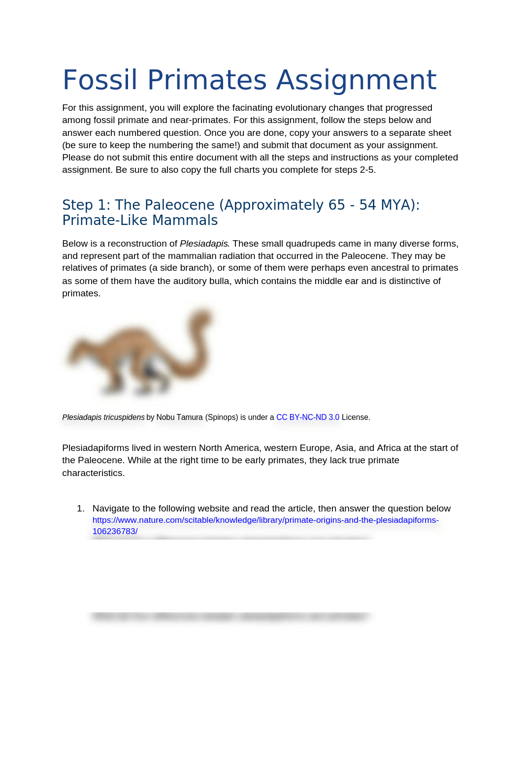 Fossil Primate Assignment.docx_drth7dnwsxm_page1