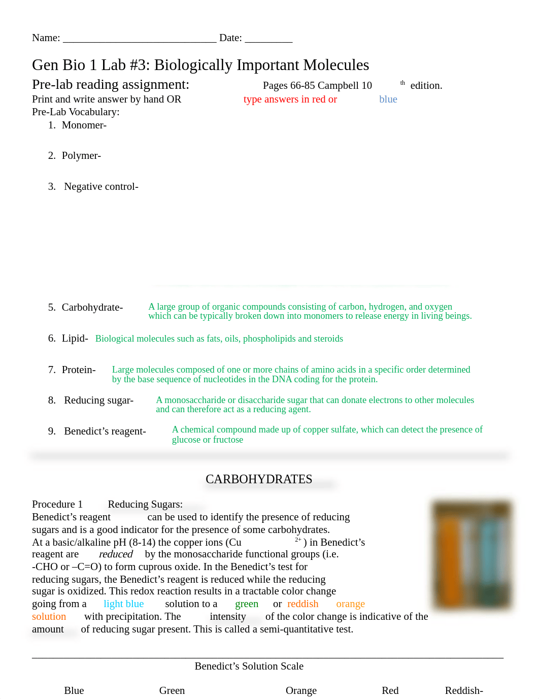 Bio+1+Lab+3+Biomolecules_frausto-edited.pdf_drtmoojo7d5_page1