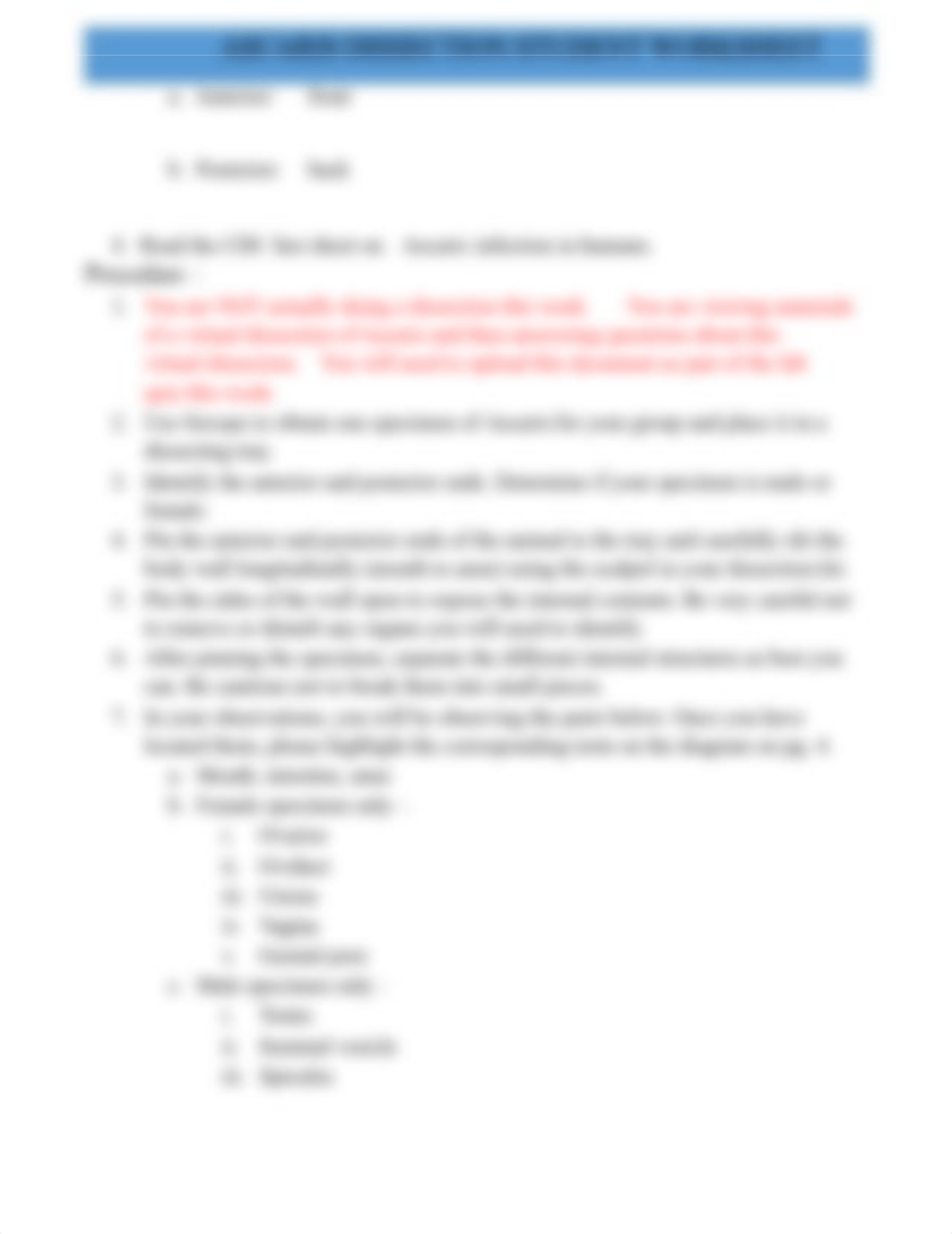 ASCARIS DISSECTION STUDENT WORKSHEET.docx_drtq52cx3hh_page3