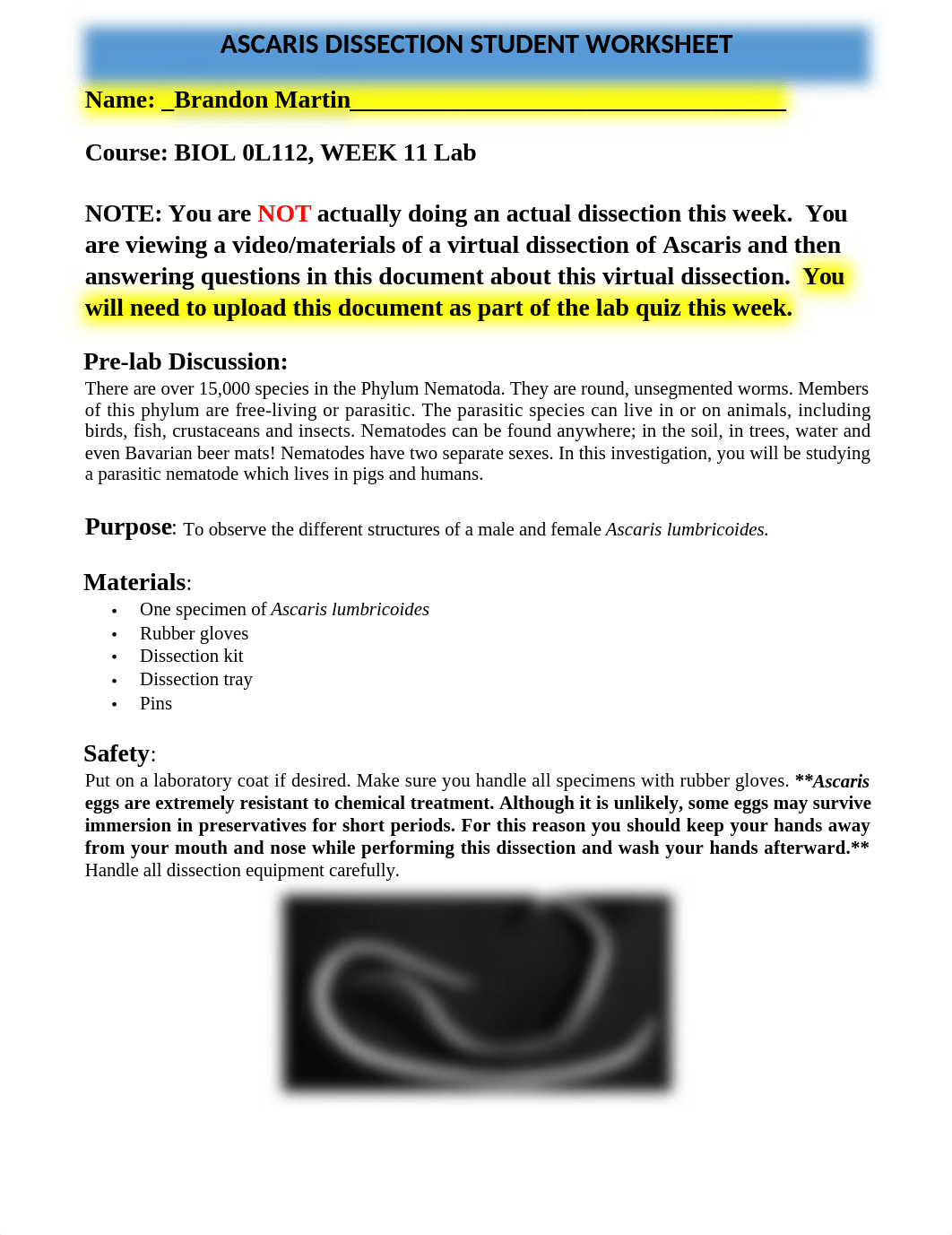 ASCARIS DISSECTION STUDENT WORKSHEET.docx_drtq52cx3hh_page1