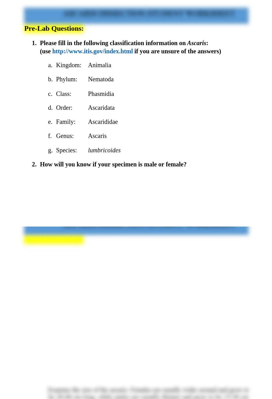 ASCARIS DISSECTION STUDENT WORKSHEET.docx_drtq52cx3hh_page2