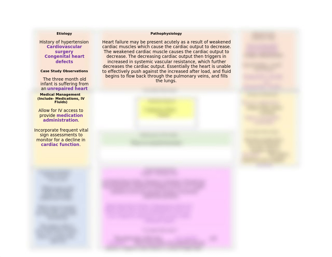 Pediatric Concept Map - Congestive Heart Failure.docx_drtqurutu6b_page1