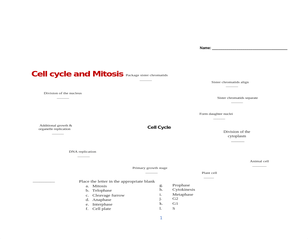 CM10 Cell Cycle and Mitosis.docx_drty0gfa1l9_page1