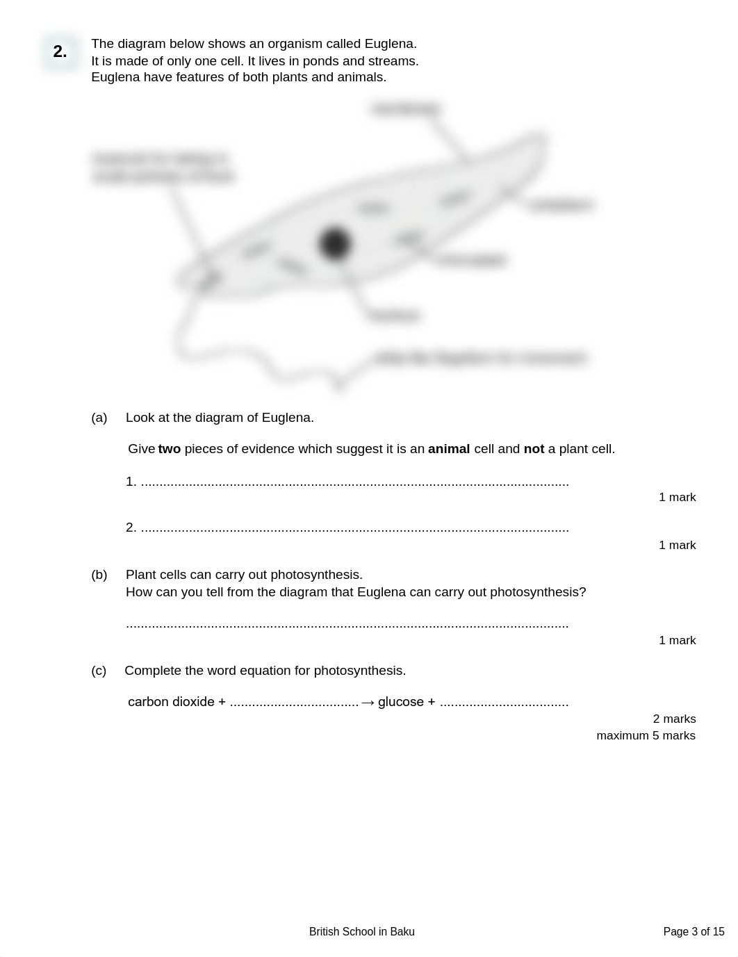 Cells and their function Q MS All levels.pdf_dru6uwrtdxq_page3