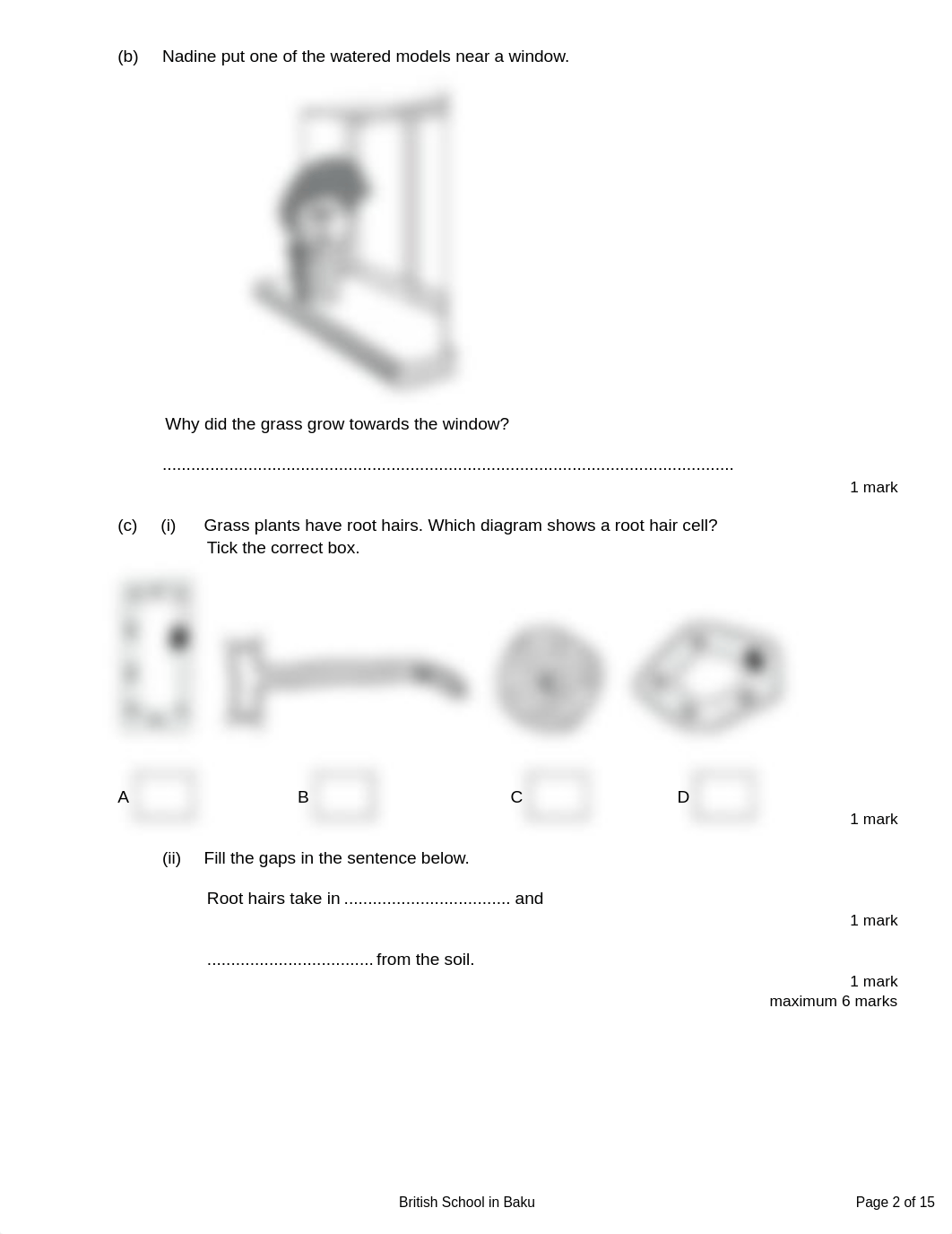 Cells and their function Q MS All levels.pdf_dru6uwrtdxq_page2