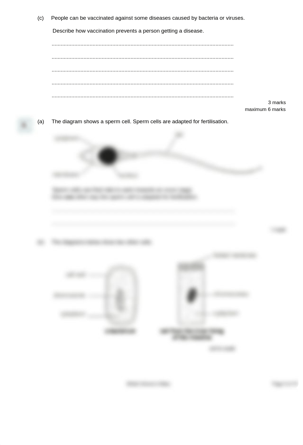 Cells and their function Q MS All levels.pdf_dru6uwrtdxq_page5