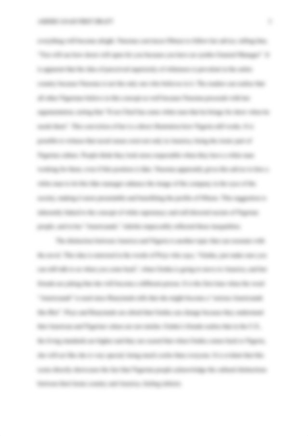 Americanah first draft.docx_dru88fnaddj_page3