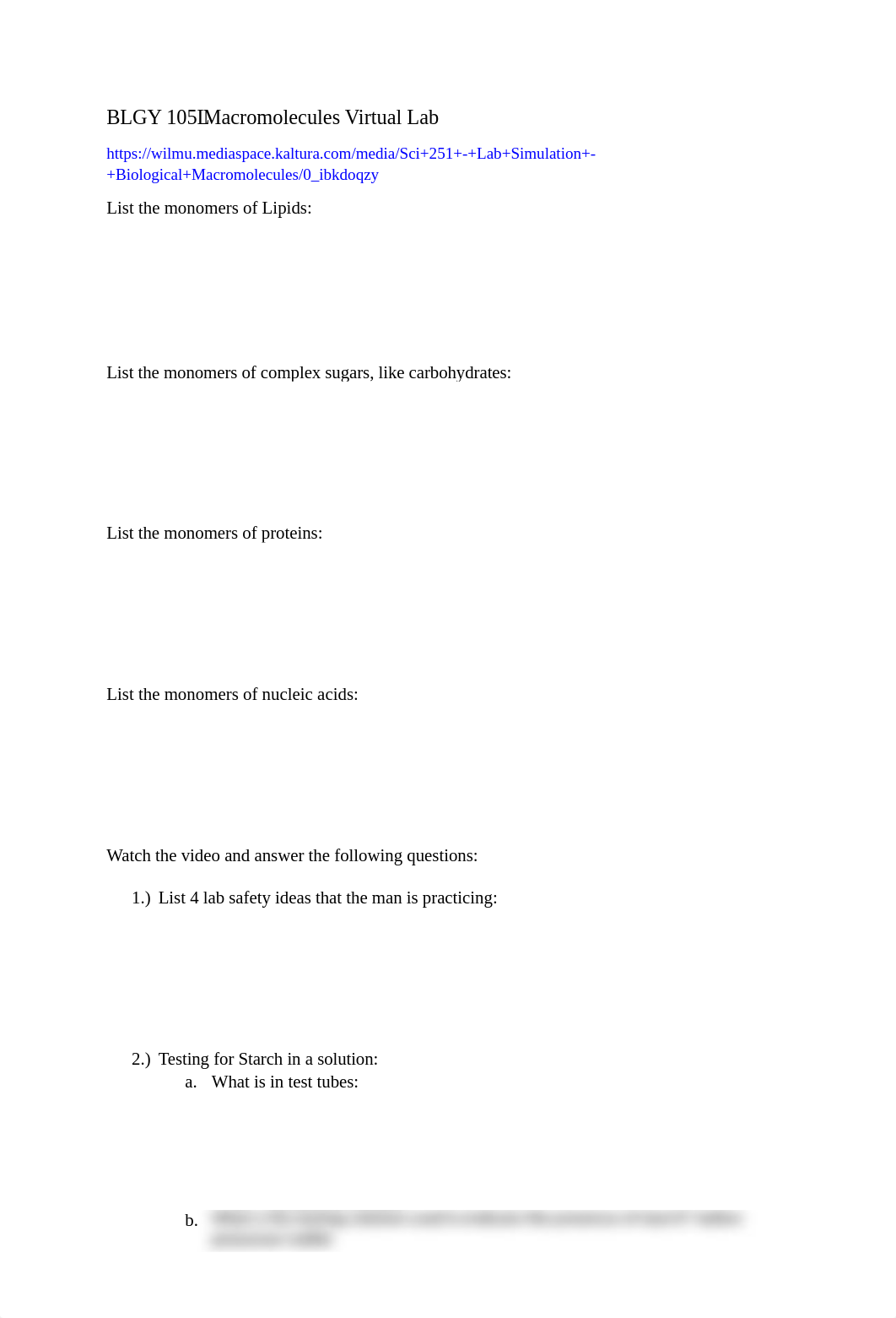 Macromolecule Online Lab (1) (1).docx_dru9ntvu3zn_page1