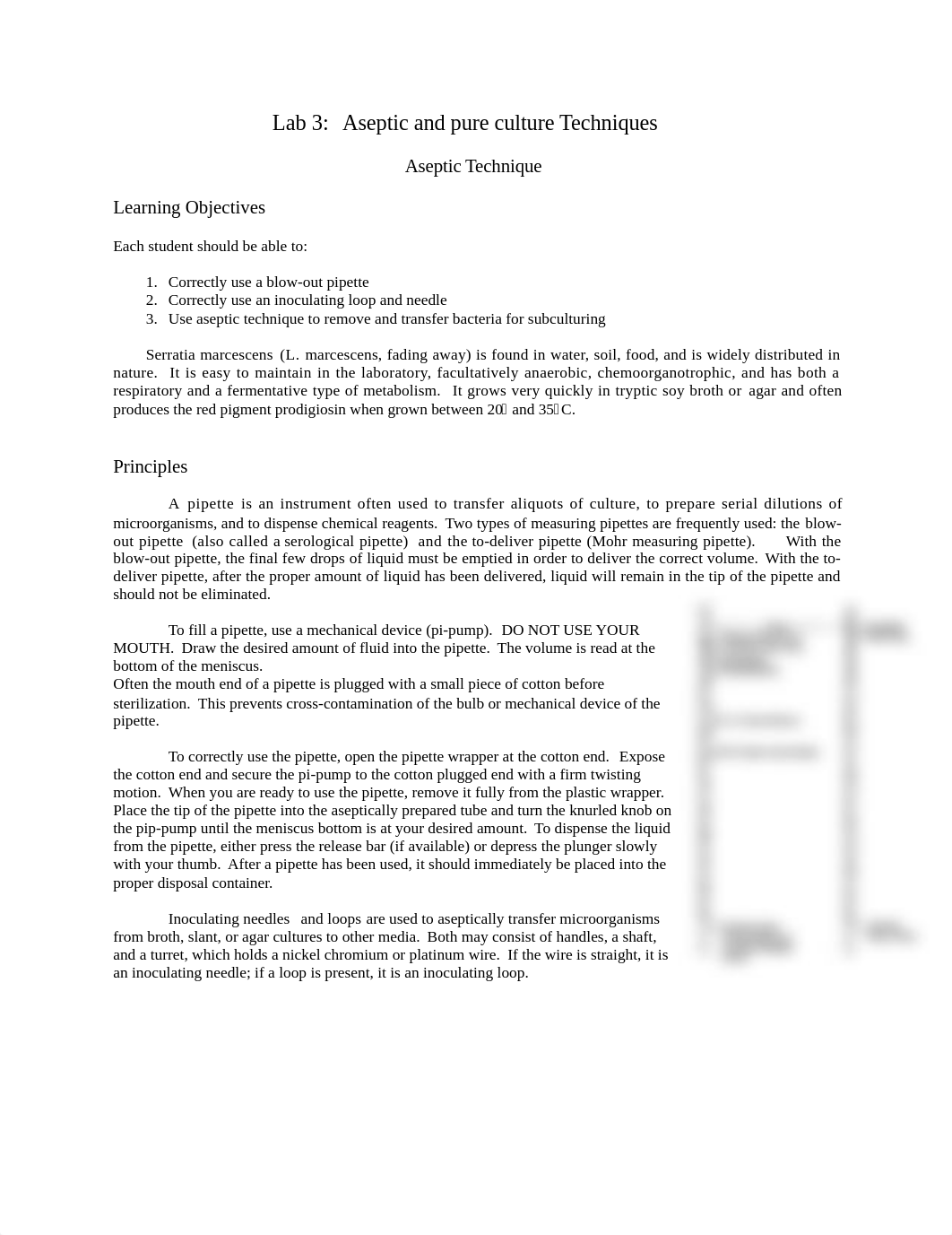 Lab 3 aseptic and pure culture lab.doc_drua08ti9jq_page1