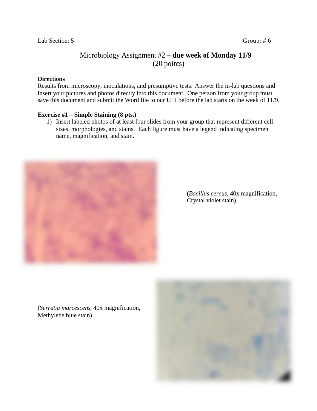 Microbiology Assignment #2.docx_druc2xvlvx6_page1