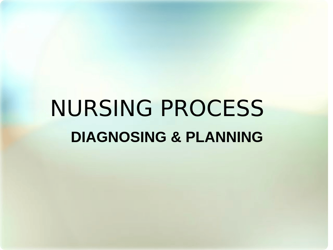 NP Diagnosing and Planning F.ppt fall19.ppt_druejst2zsq_page1