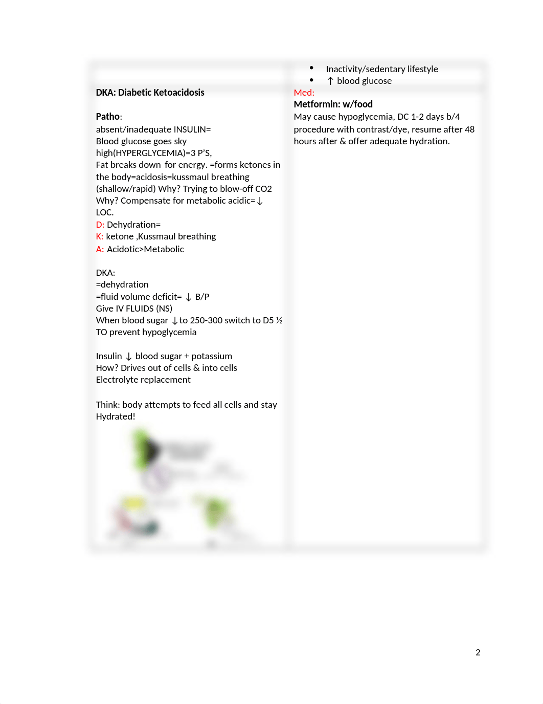 EXAM 1 REVIEW NUTRITION METABOLISM.docx_drupl2o6blc_page2