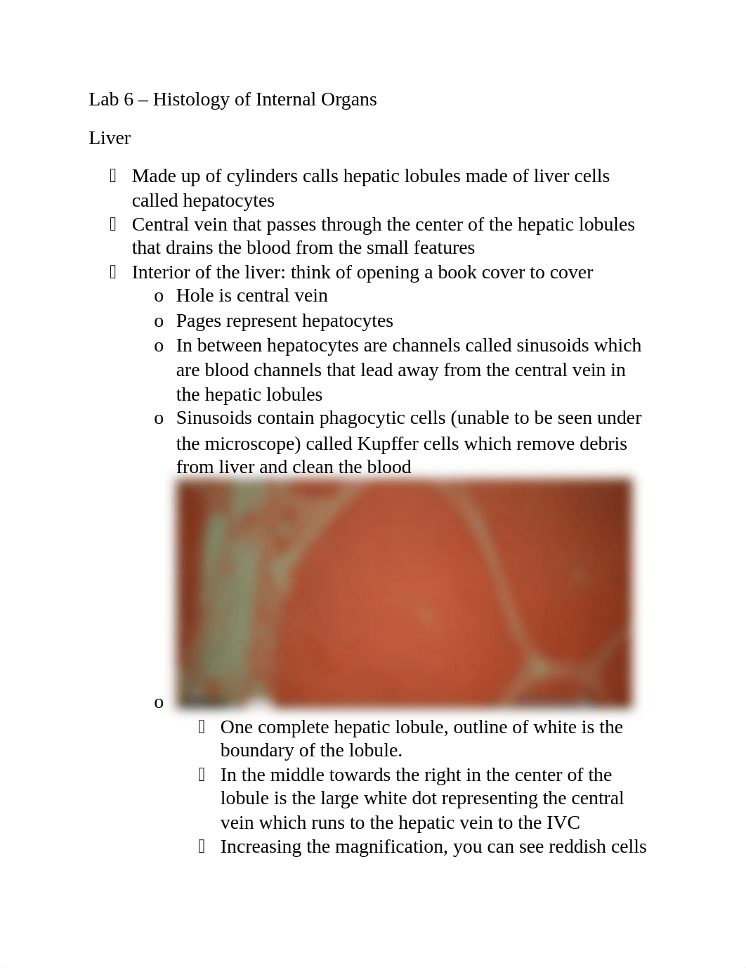 Lab 6 - Histology of Internal Organs.docx_drur7s72rx0_page1