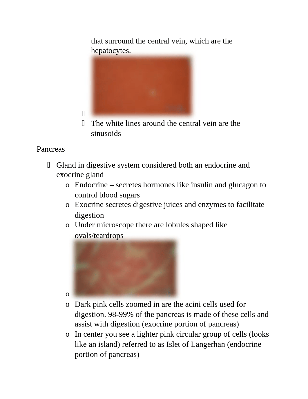 Lab 6 - Histology of Internal Organs.docx_drur7s72rx0_page2