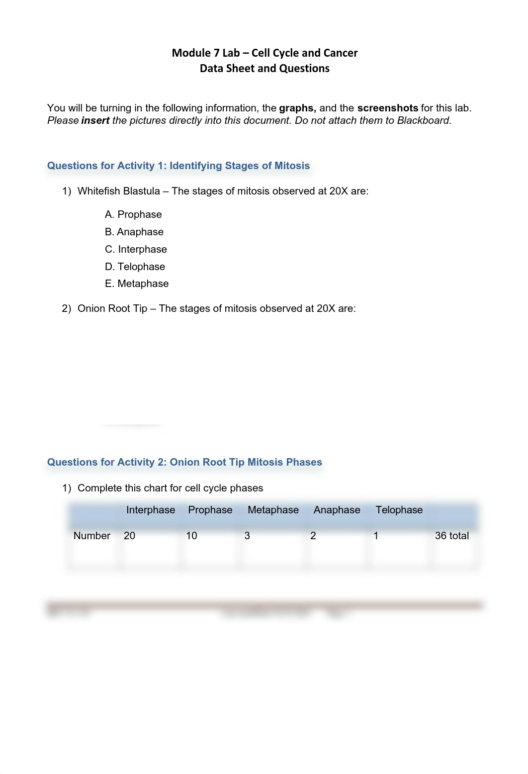 Module 7 Lab.pdf_druyy7g5nv9_page1