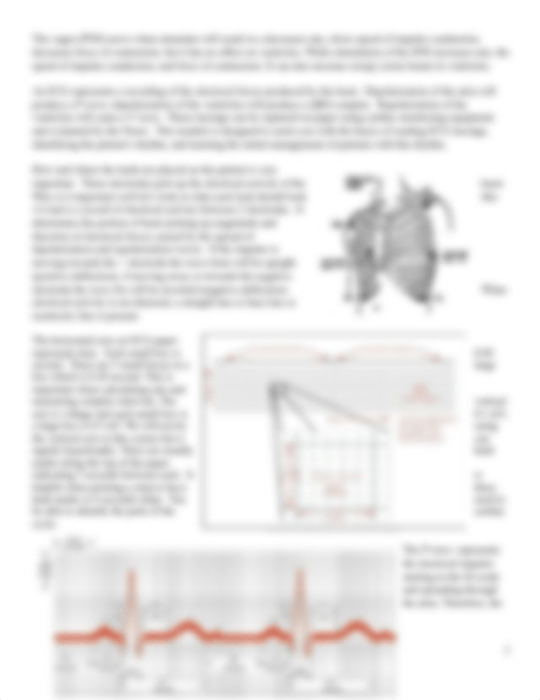 Week 6 Introduction to Cardiac Dysrhythmias and Adjunctive Modalities lecture notes.docx_druzt2qr7lp_page3