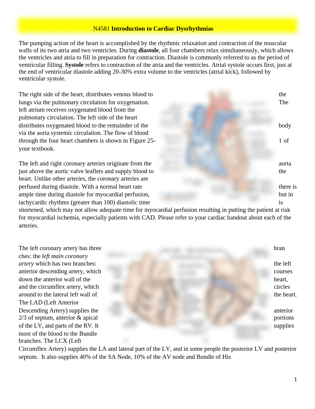 Week 6 Introduction to Cardiac Dysrhythmias and Adjunctive Modalities lecture notes.docx_druzt2qr7lp_page1