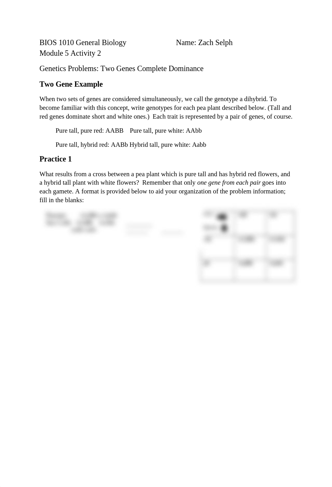 Selph- Module 5 Activity 2 Two Gene Complete Dominance Crosses.docx_drv26yh197x_page1