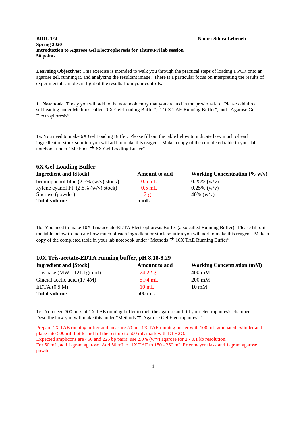 S20 Gel Electophoresis Lab Day 2 worksheet for Canvas.docx_drv3tob3y3z_page1