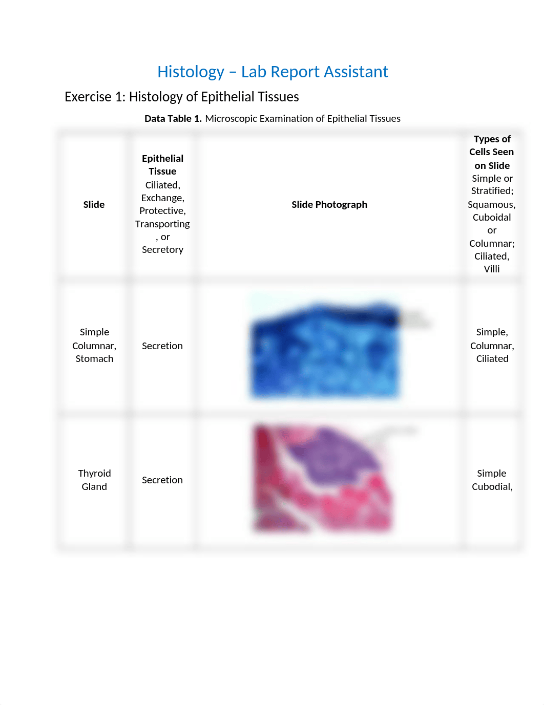 HistologyLab.JessicaSelf_drvcfmm6idk_page1