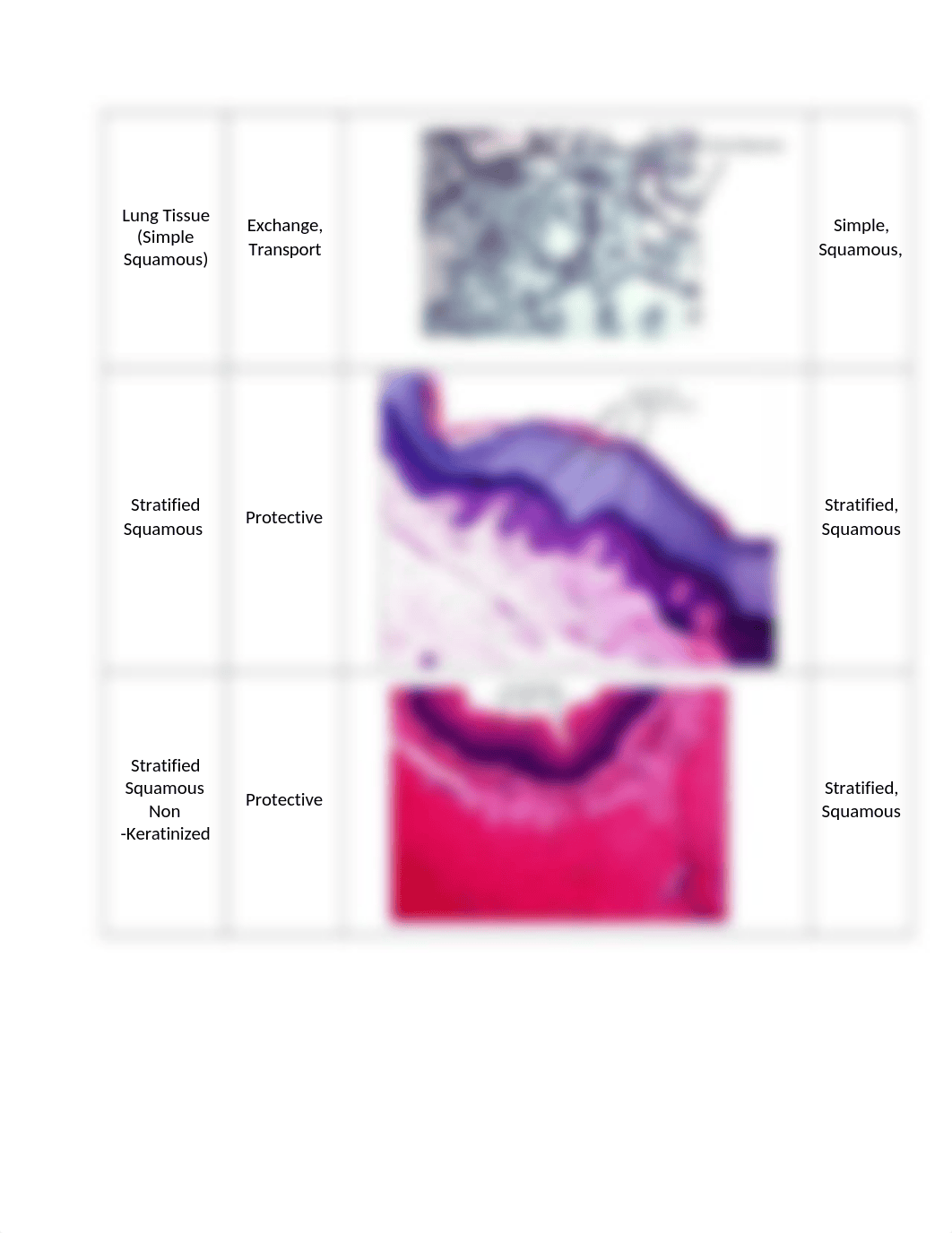 HistologyLab.JessicaSelf_drvcfmm6idk_page2