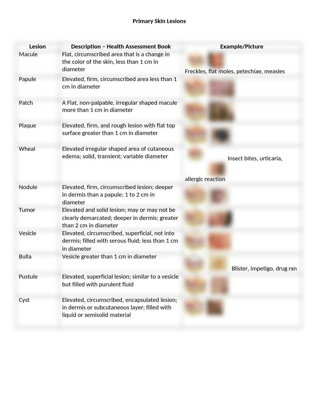 Skin Lesions Lab Activity.docx_drvcksnjx28_page1