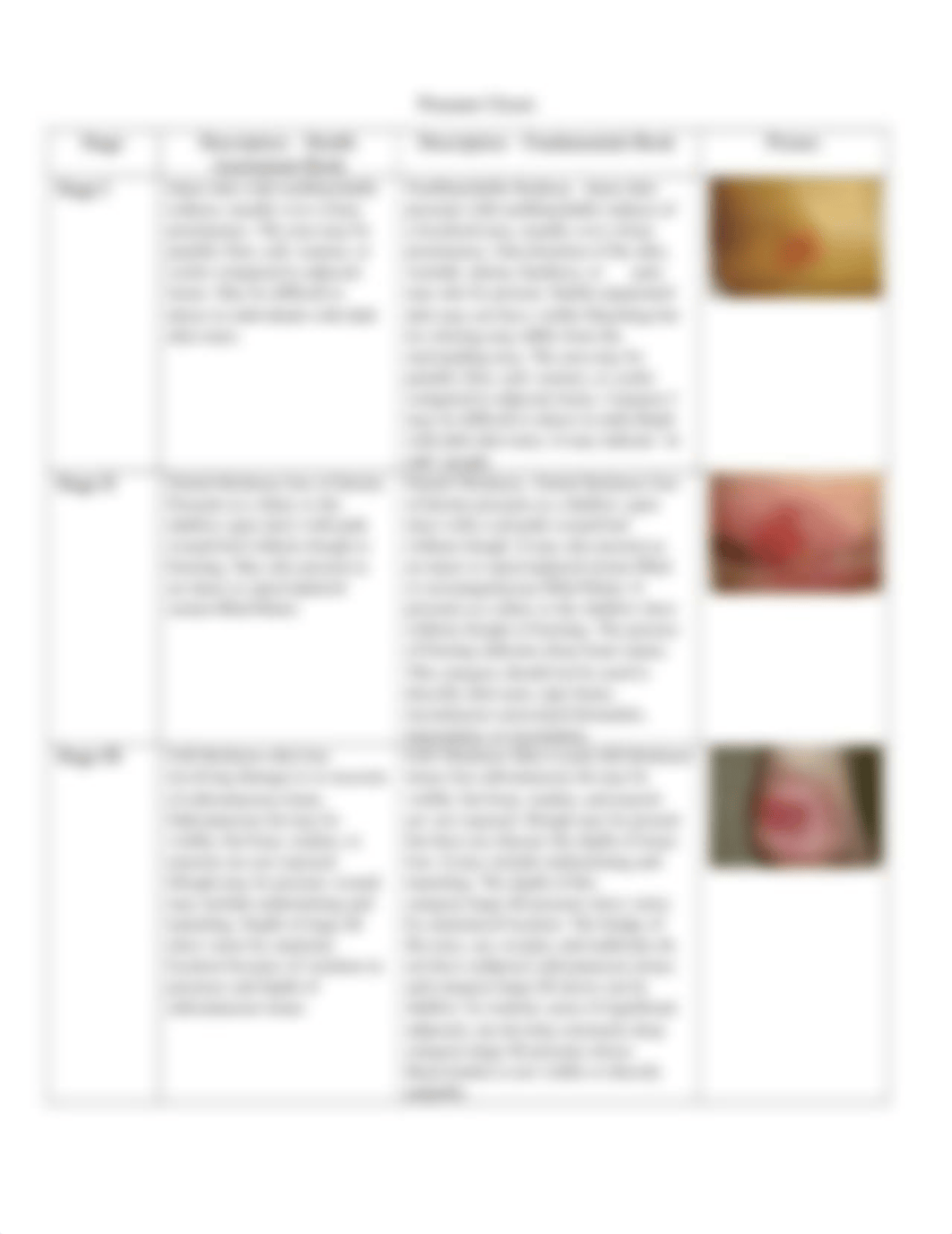 Skin Lesions Lab Activity.docx_drvcksnjx28_page3