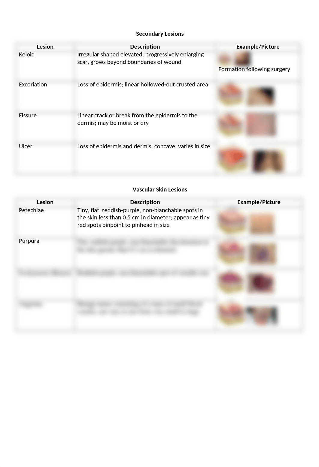 Skin Lesions Lab Activity.docx_drvcksnjx28_page2