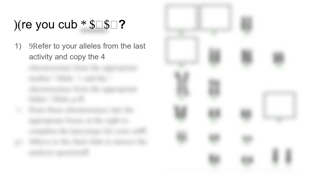 karyotype assessment.pdf_drvey1emftn_page5