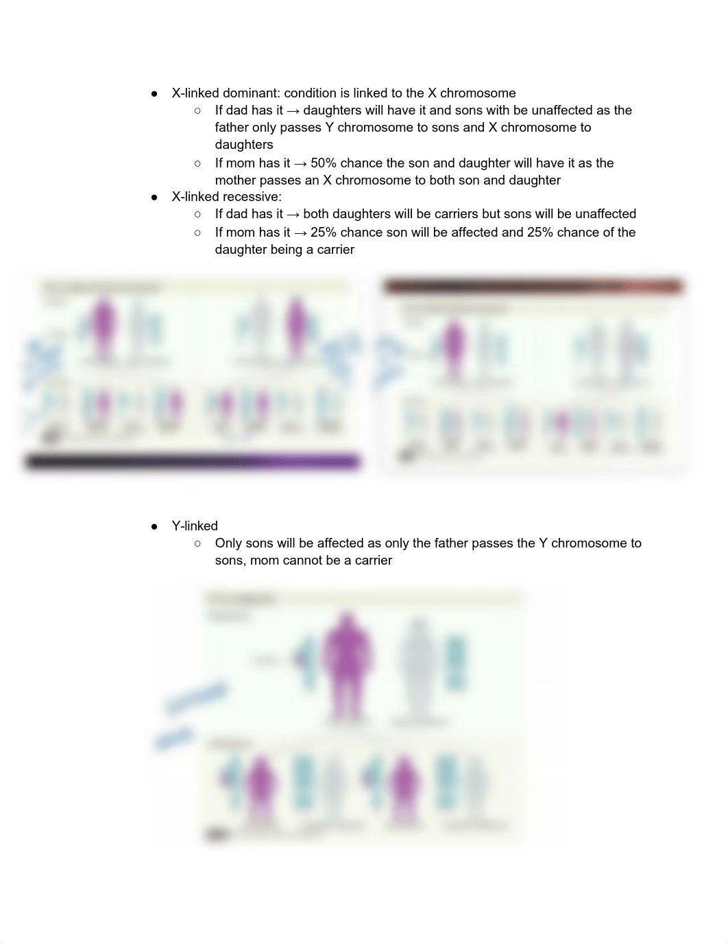 OB Exam 2 Review Sheet.pdf_drviu0dzbrn_page2