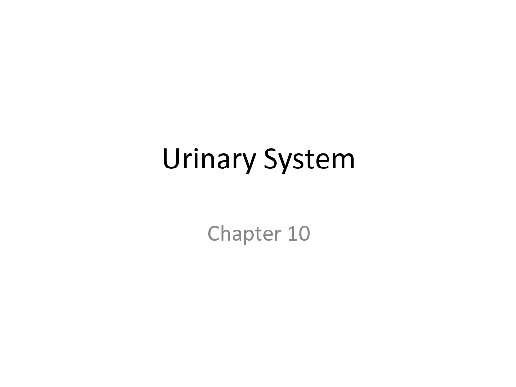 Chapter 10 - Urinary System - Notes_drvj5l3ifu6_page1