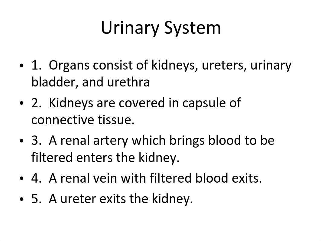 Chapter 10 - Urinary System - Notes_drvj5l3ifu6_page2