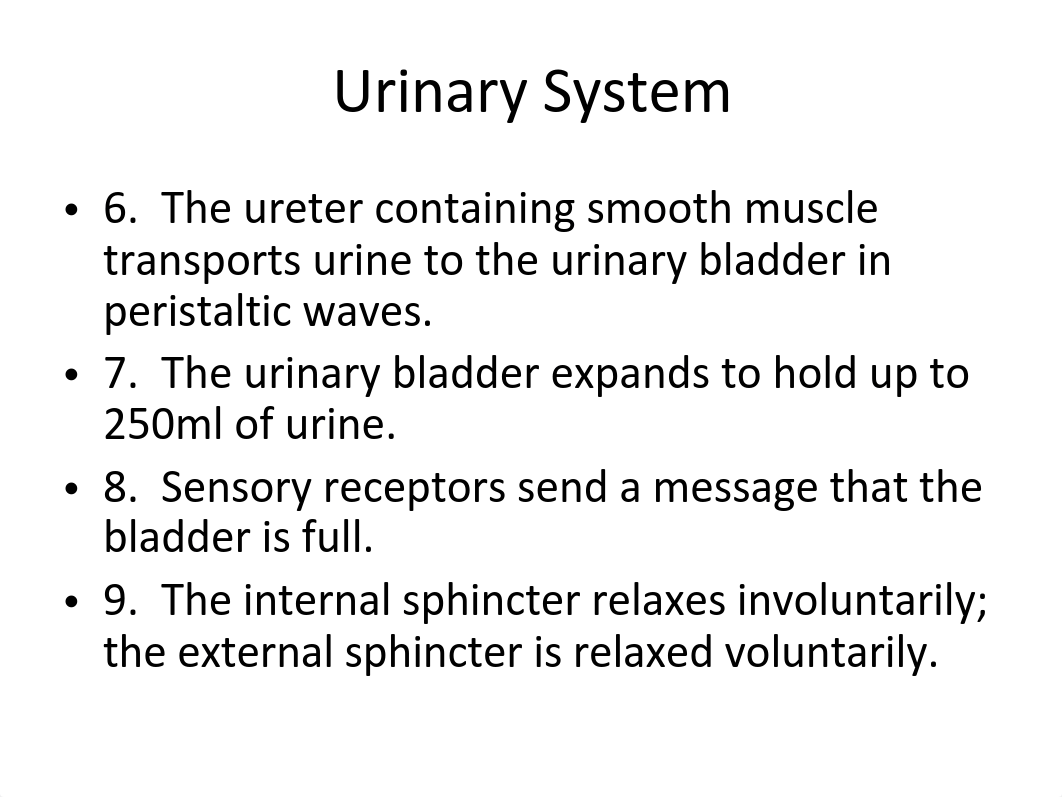 Chapter 10 - Urinary System - Notes_drvj5l3ifu6_page3