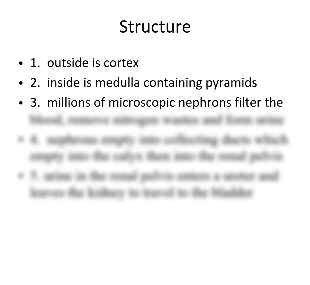 Chapter 10 - Urinary System - Notes_drvj5l3ifu6_page5