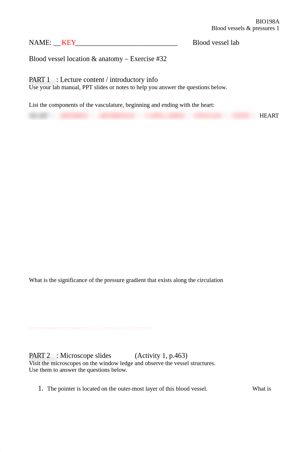 BIO198A Blood Vessel Worksheet KEY.docx_drvj9vlyn9l_page1