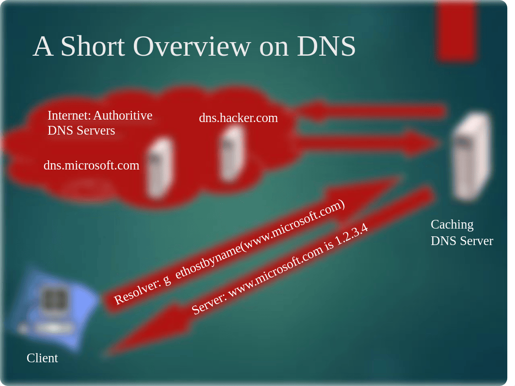 DNS Poisoning_drvmfep7ffl_page2