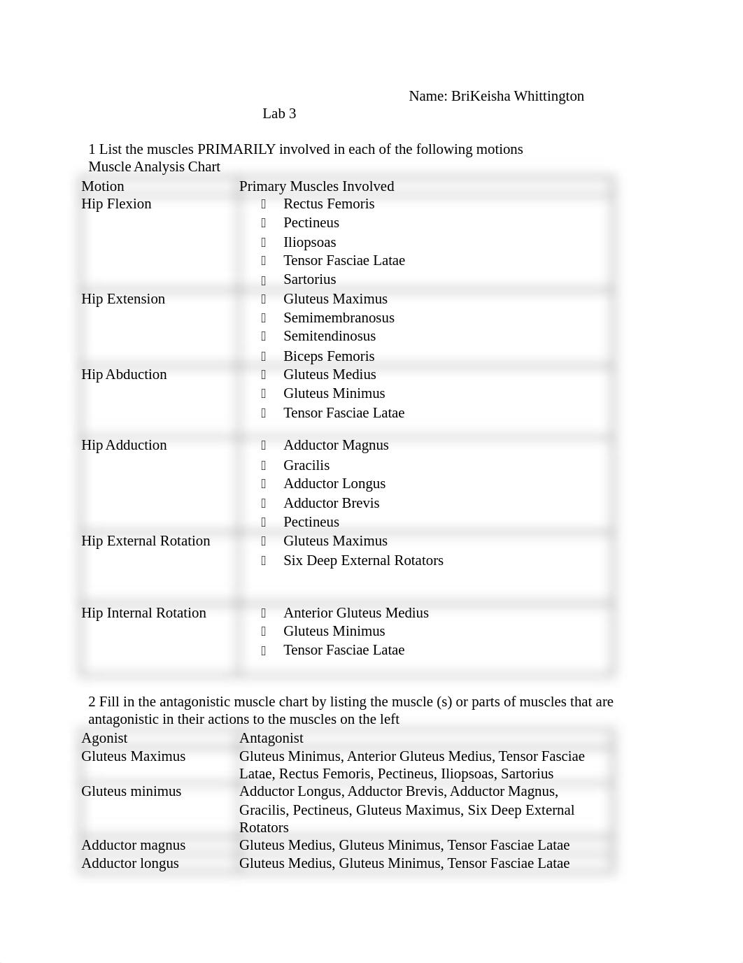 Hip Lab 3 2017.rtf_drvpfsc4y91_page1