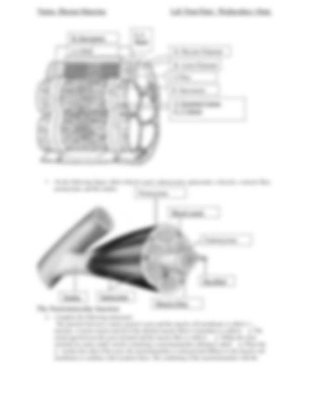 Lab 4.docx_drvshfp6eiq_page2