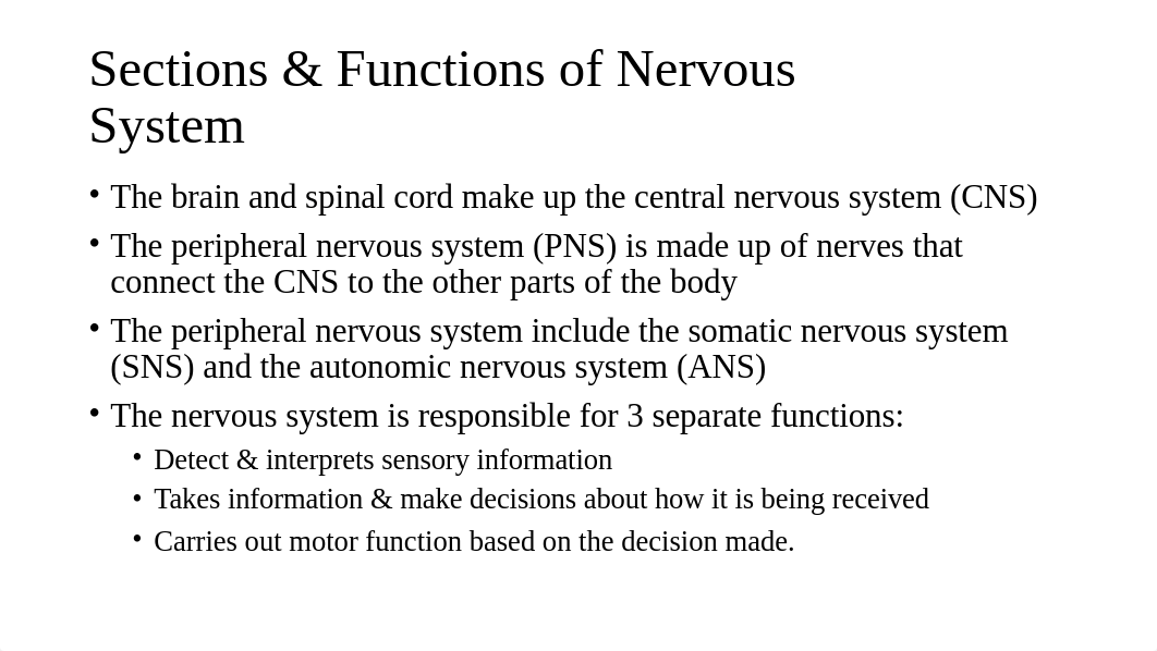 Nervous System PowerPoint.pptx_drvwj2ihkbo_page2