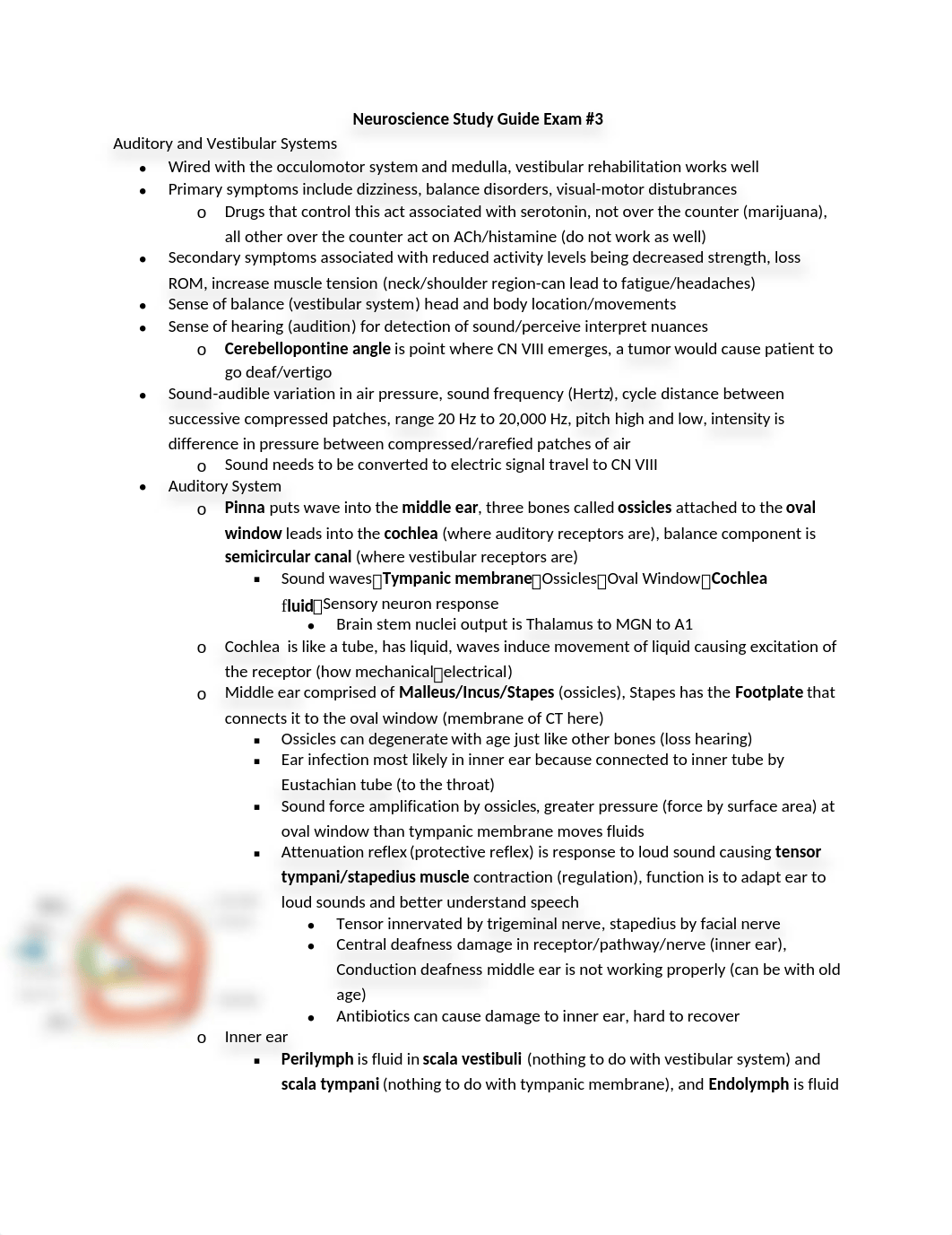 Neuroscience Study Guide Exam 3_drvxeypyfd0_page1