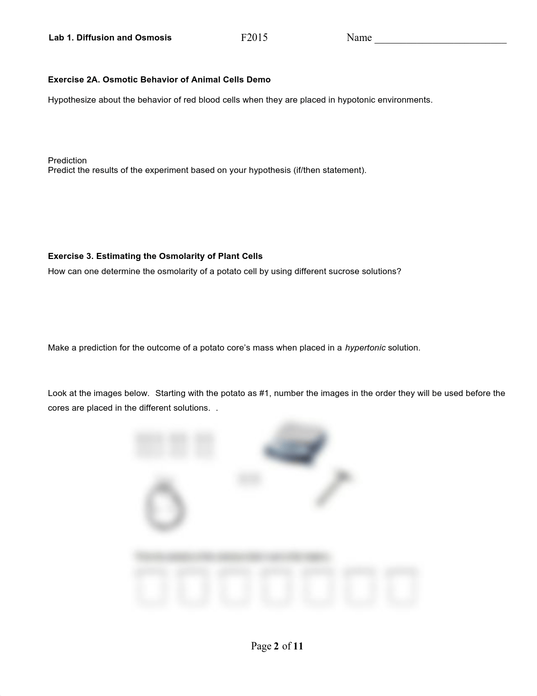 Lab 1 Diffusion and Osmosis_drwey7gwqgx_page2