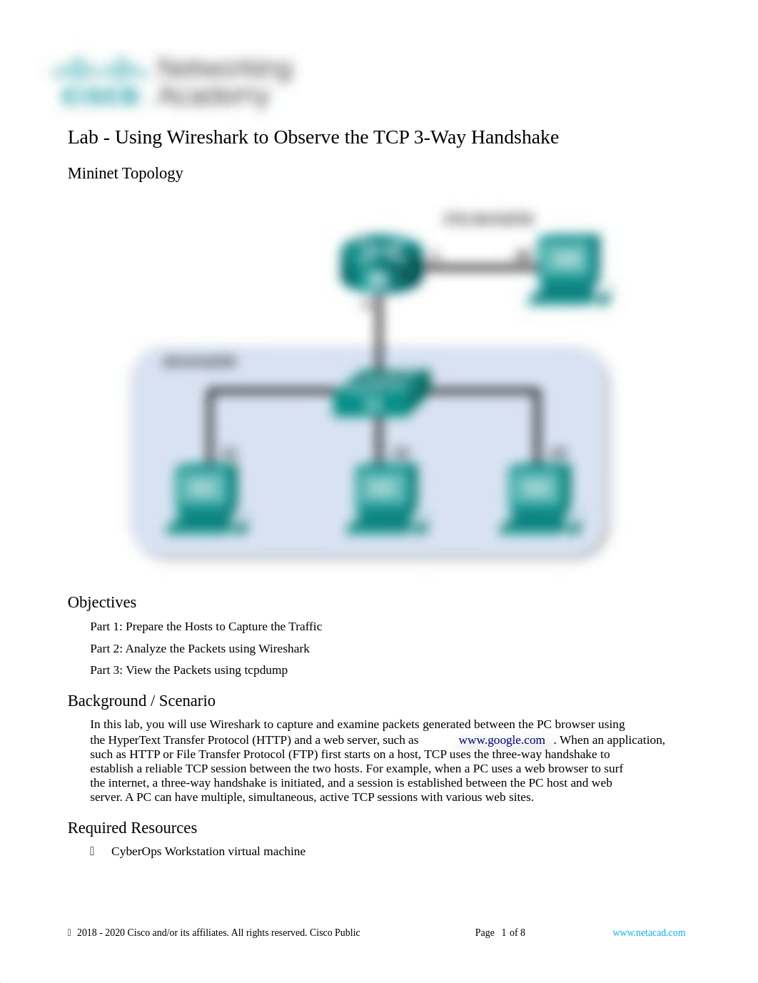 9.2.6 Lab - Using Wireshark to Observe the TCP 3-Way Handshake.docx_drwjza8szy1_page1