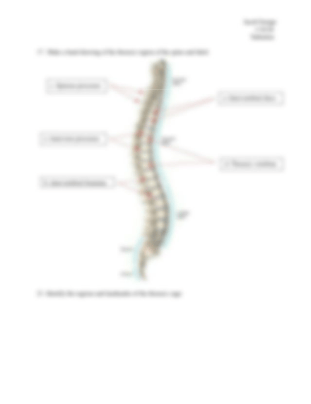 A&P Lab Exercise 9 .docx_drwlyo6qrc3_page2